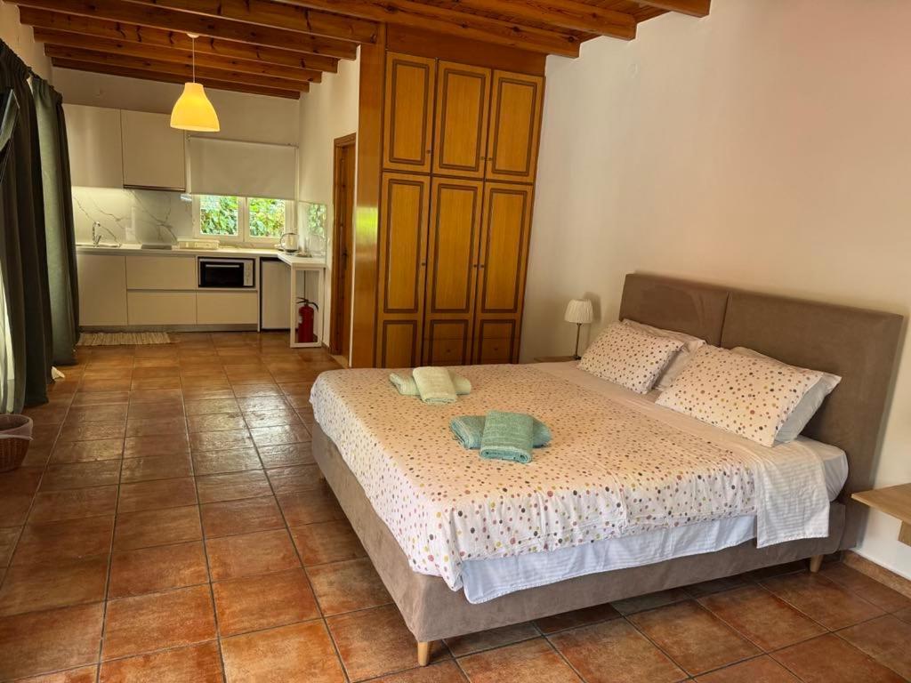 Pieros Studios Lisipios Παλαιοκαστρίτσα Εξωτερικό φωτογραφία